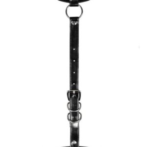 IntimWebshop | A738 harness black