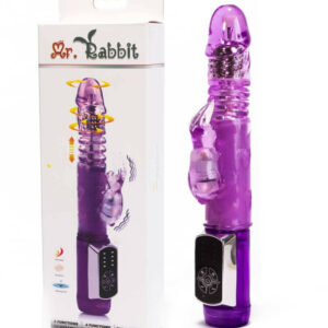 IntimWebshop - Szexshop | Mr. Rabbit Vibrator Purple