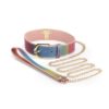 IntimWebshop - Szexshop | Spectra Bondage - Collar &  Leash - Rainbow